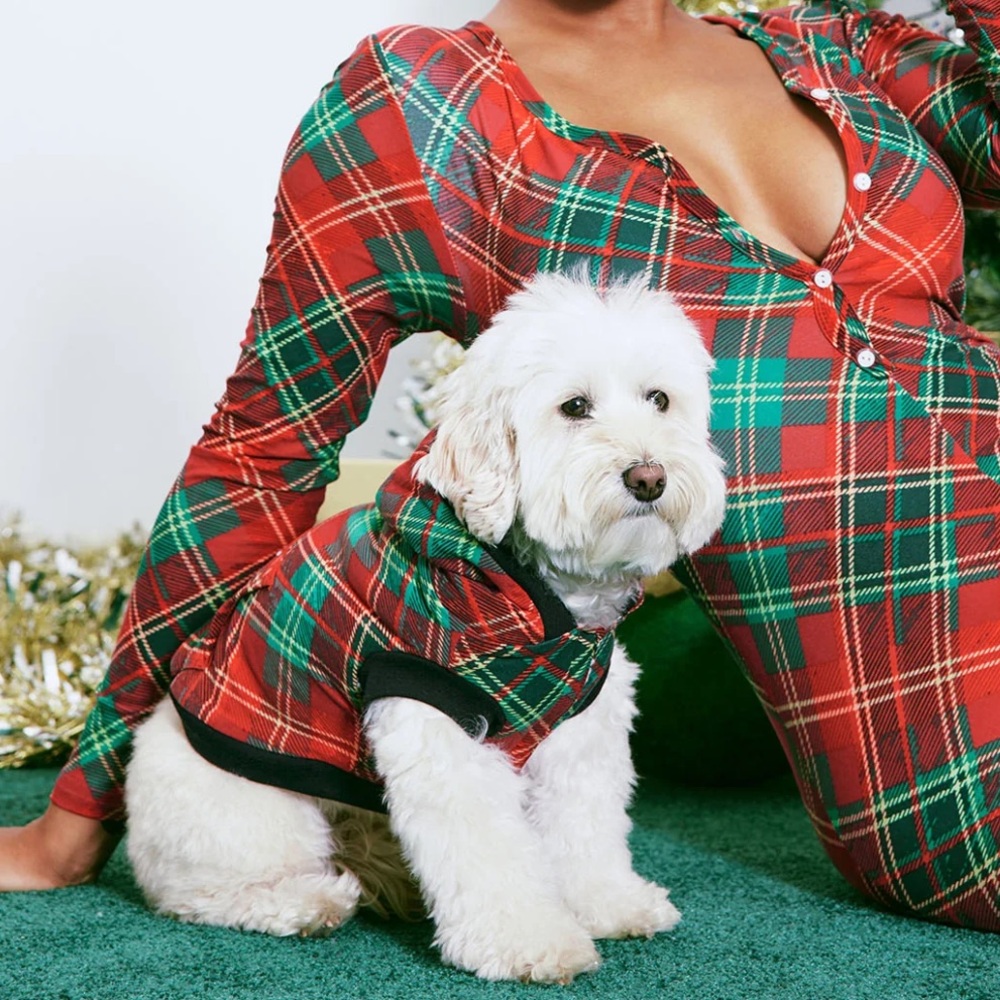 Christmas Pup Santa's Baby Dog Hoodie - Black/Green